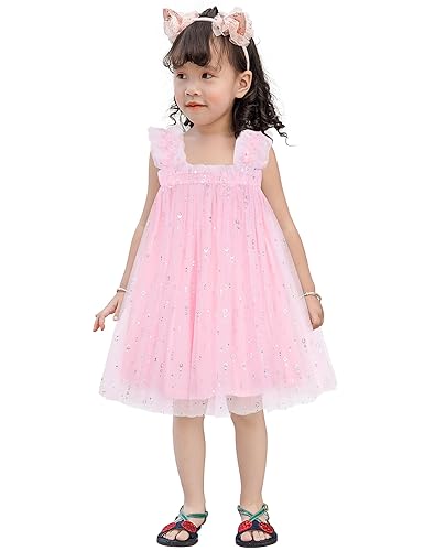 AGQT Baby Mädchen Tüll Kleid,Kleinkind Partykleid Ärmelloses Tutu Geburtstag Kleid Gänseblümchen-Spitze Blumenmädchen Kleid Silber Farbenfroher Leerer Herzkreis Rosa Große 12-18 Monate von AGQT