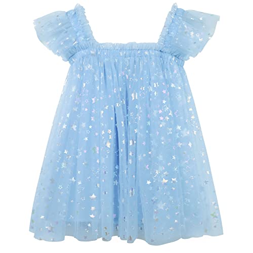 AGQT Baby Mädchen Tutu Kleid Rüschen Ärmelloses Prinzessin Tüll Tutu Kleider Geburtstagsfeier Hochzeit Geschichtete Spitze Mini Schichten Kleid Leeres Herz Bunte Sterne Hellblau Größe 12-18 Monate von AGQT