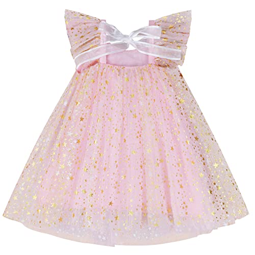 AGQT Baby Tüll Kleid Mädchen,Blumenmädchen Kleid Hochzeit Geburtstag Party Pailletten Tutu Kleid Rosa Bottom-Little-Sterne 2-3 Jahr von AGQT