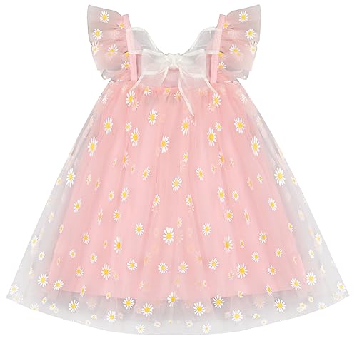 AGQT Baby Tüll Kleid Mädchen,Blumenmädchen Kleid Hochzeit Geburtstag Party Pailletten Tutu Kleid Rosa Kleines Gänseblümchen 3-4 Jahr von AGQT