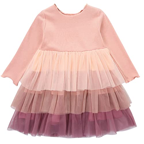 AGQT Kleider Baby Mädchen Tüll Tutu Langarm Herbst Kleid Hochzeit Geburtstag Festliches Taufkleid Rosa 12-18 Monate von AGQT