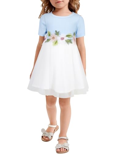 AGQT Kleider für Baby Mädchen Bestickt Tüll Tutu Blumenmädchen Kleid Blume Kleid für Hochzeit Geburtstag Party Blau 6-12 Monate von AGQT