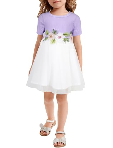 AGQT Kleider für Baby Mädchen Bestickt Tüll Tutu Blumenmädchen Kleid Blume Kleid für Hochzeit Geburtstag Party Hellviolett 0-6 Monate von AGQT