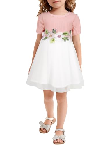 AGQT Kleider für Baby Mädchen Bestickt Tüll Tutu Blumenmädchen Kleid Blume Kleid für Hochzeit Geburtstag Party Rosa 6-12 Monate von AGQT