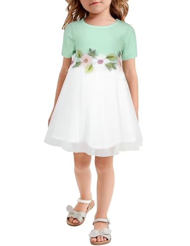 AGQT Kleider für Mädchen Bestickt Tüll Tutu Blumenmädchen Kleid Blume Kleid für Hochzeit Geburtstag Party Hellgrün 2-3 Jahre von AGQT