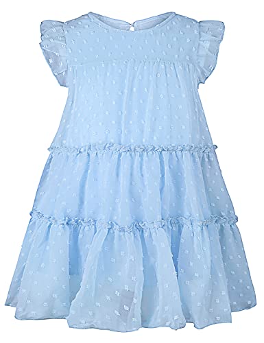 AGQT Kleinkind Mädchen Prinzessin Kleid Swiss Dots Sommer Freizeit Rüschenkleid Geburtstag Chiffon Prinzessin Hochzeit Elegantes Kleid Hellblau Größ 4-5 Jahre von AGQT