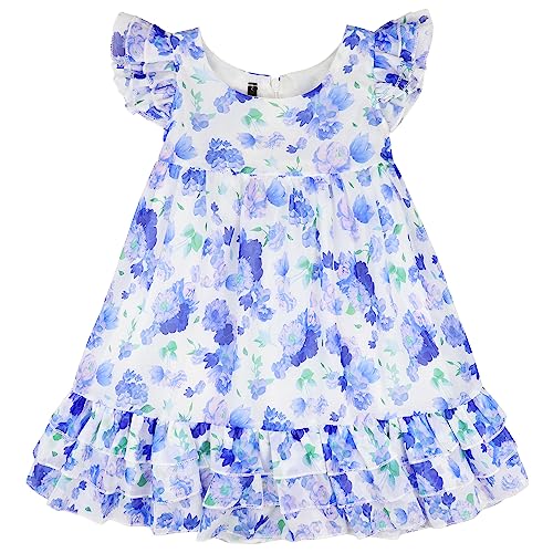 AGQT Kleinkind Mädchen Sommerkleid Elegant Floral Prinzessin Kleid Rüschen Ärmel Kinder Layered A Linie Freizeitkleid Festlich Hochzeit Abendkleid Blau Blume Größe 4-5 Jahre von AGQT