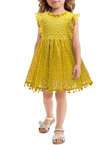 AGQT Mädchen Kleid Hohl Spitze Kleider Flaum Ruffle Ärmel Blumenmädchen Prinzessin Sommerkleid für Kleinkind Kinder Gelb 3-4 Jahre von AGQT