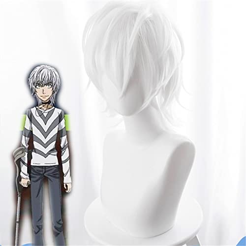 AHJSN gilt für Toaru Majutsu No Index Accelerator Cosplay Wig Man Boys 30cm Weiß Kurz Gerade Hitzebeständige Kunsthaar Anime Perücken von AHJSN