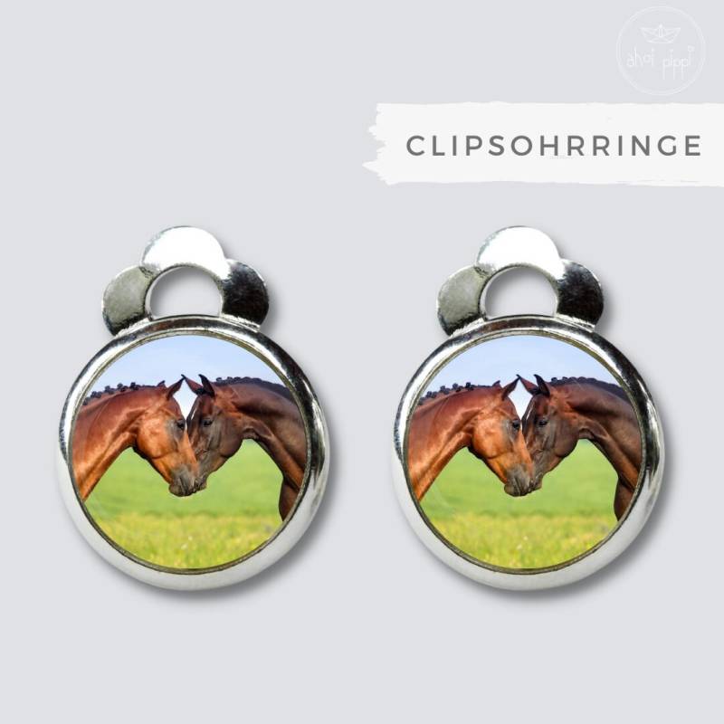Clipsohrringe Pferde Ohrclips Ohrringe Ohrringclips Pferd Fohlen Ohrschmuck Kinder Geschenk Einschulung Geburtstag von AHOIPippi