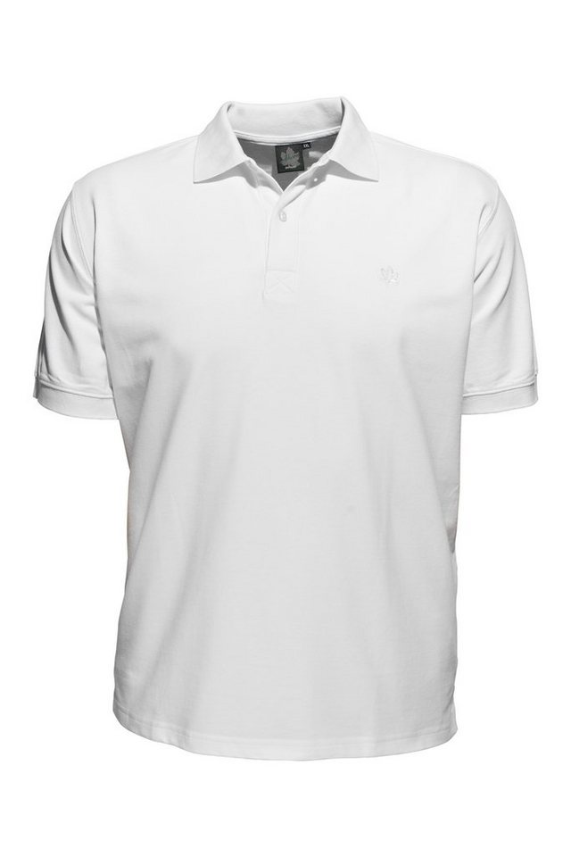 AHORN SPORTSWEAR Poloshirt in klassischem Design AHORN SPORTSWEAR Poloshirt in klassischem Design von AHORN SPORTSWEAR