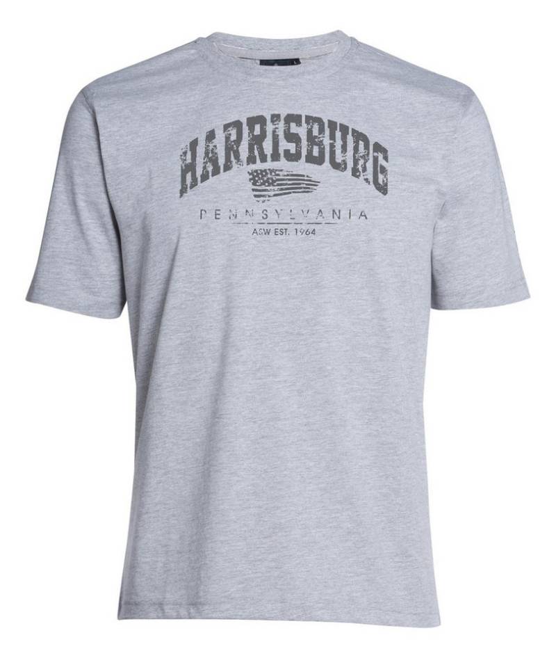 AHORN SPORTSWEAR T-Shirt HARRISBURG mit modischem Frontprint von AHORN SPORTSWEAR