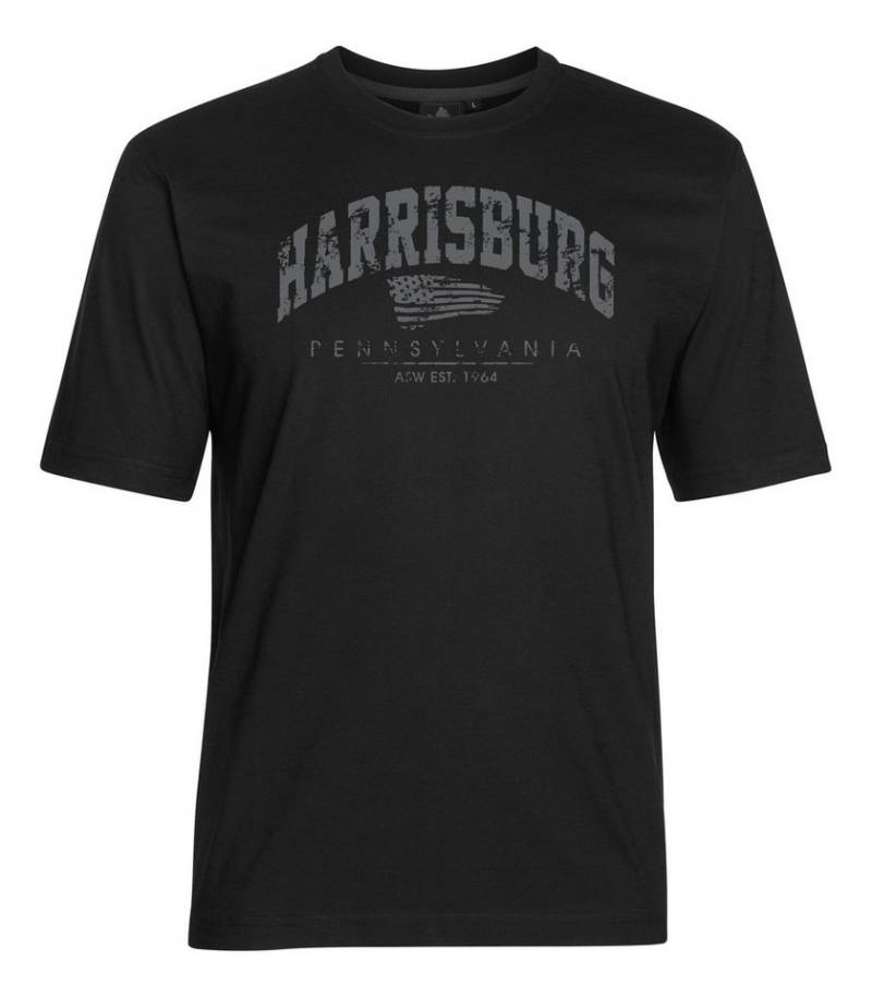 AHORN SPORTSWEAR T-Shirt HARRISBURG mit modischem Print von AHORN SPORTSWEAR