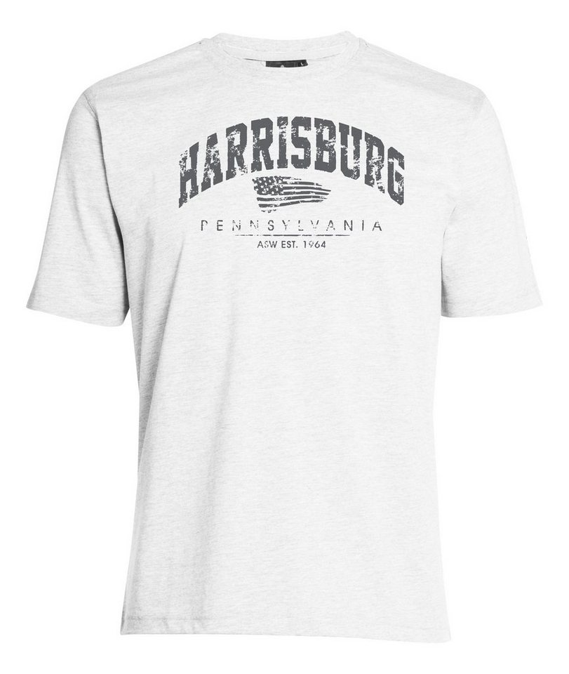 AHORN SPORTSWEAR T-Shirt HARRISBURG mit modischem Print AHORN SPORTSWEAR T-Shirt HARRISBURG mit modischem Print von AHORN SPORTSWEAR