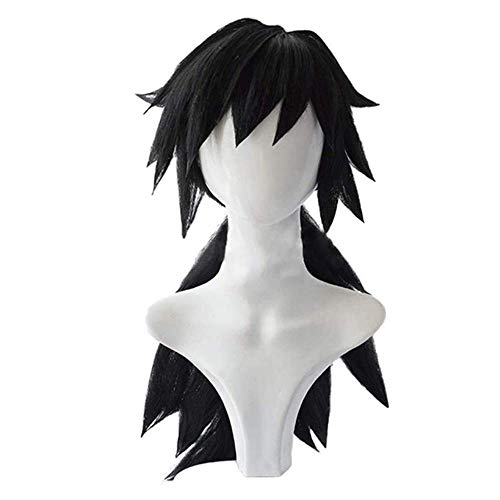AICWDIVA Anime Cosplay Wig Long Black Ponytail Wig Heat Resistant Synthetic Hair Wigs for Anime-Fans (Tomioka Giyuu) von AICWDIVA