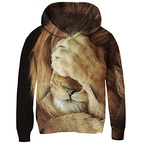 AIDEAONE Jugend Teenager Hoodie 3D Hooded Sweatshirt Löwe 8-11 Jahre (XL) von AIDEAONE