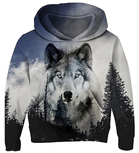 AIDEAONE Junge Teenager Hoodie 3D Kapuzenpullover Pulli Wolf 6-7 Jahre (L) von AIDEAONE