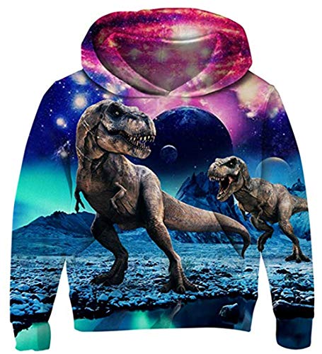 AIDEAONE Jungen Pullover Mädchen Fleece Pullover 3D Print Dinosaurier Pullover Sweatshirts Kapuzen Pullover mit Taschen 14-16 Jahre von AIDEAONE