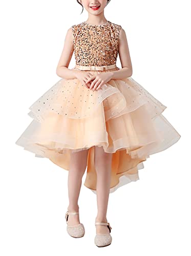 AIEOE Mädchenkleid mit Reißverschluss Spitze Pailletten Ärmellos Elegante Prinzessin Sommertaufe Geeignet von 4-5 Jahren Champagner von AIEOE