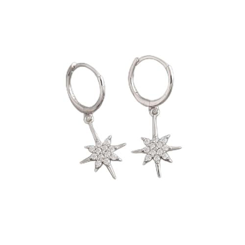 Frauen silberne Ohrringe, 925 Sterling Silber Cute Bee Delphin Anhänger Hoop Ohrringe zum Valentinstag Jubiläumskreis Pendientes Fein Schmuck von AITEKODVG