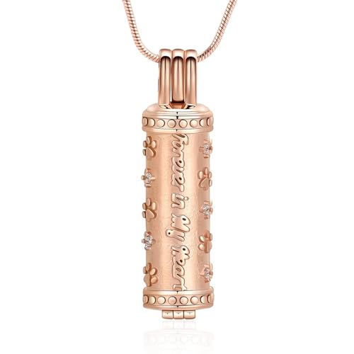 AIWENXI Hund Pfoten Kremation Schmuck für Asche Zylinder Gedenk Asche Halsketten für Männer Frauen Edelstahl Hund/Katze Erinnerungen Anhänger von AIWENXI