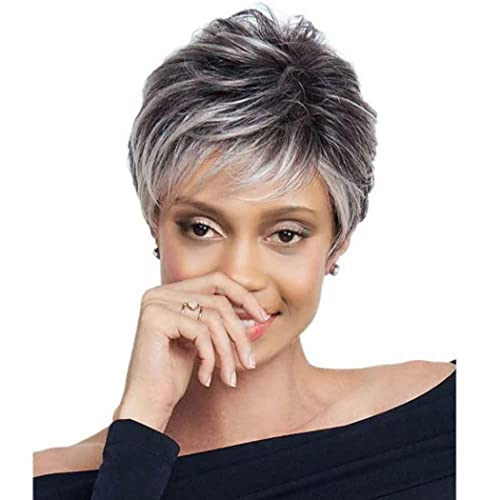 AIYLMZ Graue Perücken mit lockigem Haar für schwarze Frauen, kurze Splitter, verworrenes Haar, 100% hitzebeständige Faser, synthetische Perücke, 27,9 cm, 130 g (Silber grau) von AIYLMZ
