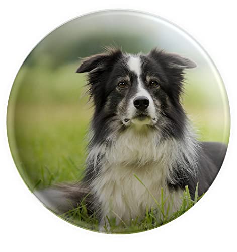 Große Anstecknadel mit Border Collie-Motiv, 75 mm, Geschenk, Geburtstag, Weihnachten, Strumpffüller, Aluminium von AK Giftshop