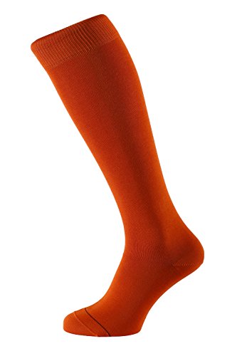 ALBERT KREUZ Herren Kniestrümpfe Premium merzerisierte Baumwolle Fil d'Écosse rutschfrei 1 Paar orange 45-47 ALBERT KREUZ Herren Kniestrümpfe Premium merzerisierte Baumwolle Fil d'Écosse rutschfrei 1 Paar orange 45-47 von ALBERT KREUZ