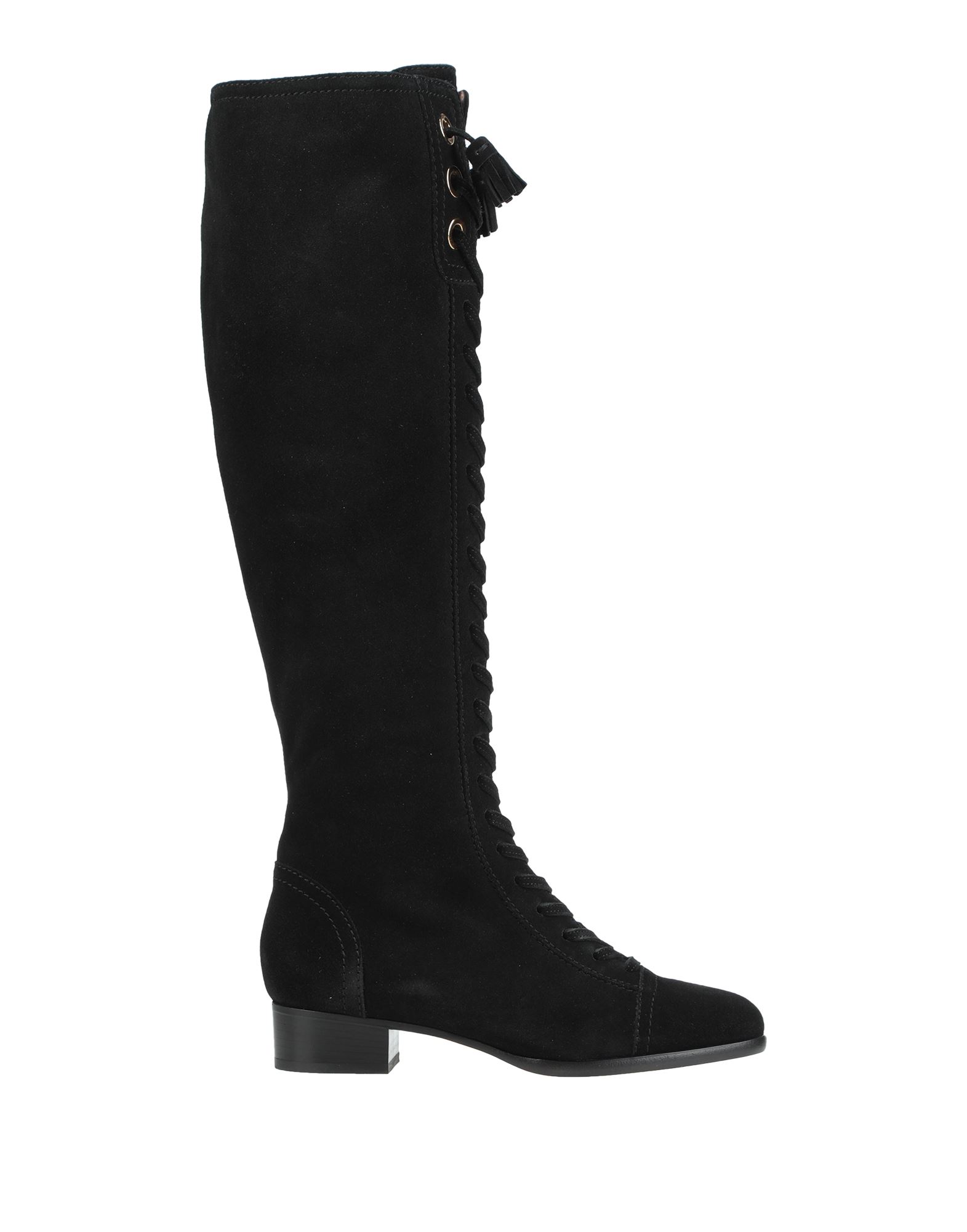 ALBERTA FERRETTI Stiefel Damen Schwarz von ALBERTA FERRETTI