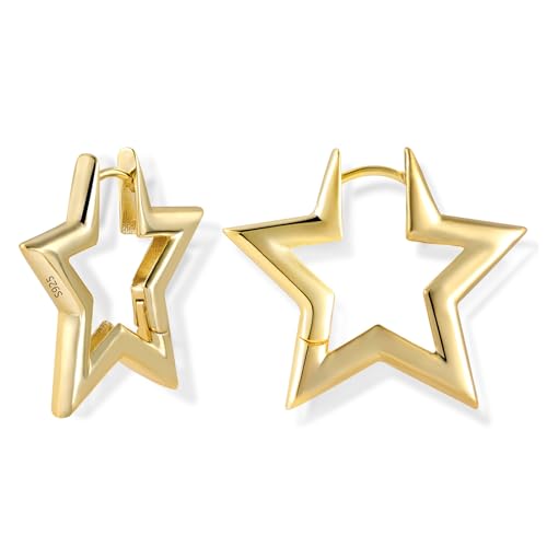 ALEXCRAFT Stern Ohrringe Gold 14K Goldener Creolen Klein Damen Ohrringe Vergoldete Geschenk für Frauen Freundin Mama Mädchen von ALEXCRAFT