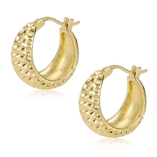 Ohrringe Gold Creolen Breit, ALEXCRAFT Sterling Silber 925 Ohrringe Damen 14K Vergoldet Creolen Leichte Klobige Breit Kleine Breit Creolen Gold Chunky Ohrringe Hammer Breit Groß Creolen Damen Frauen Ohrringe Gold Creolen Breit, ALEXCRAFT Sterling Silber 925 Ohrringe Damen 14K Vergoldet Creolen Leichte Klobige Breit Kleine Breit Creolen Gold Chunky Ohrringe Hammer Breit Groß Creolen Damen Frauen von ALEXCRAFT