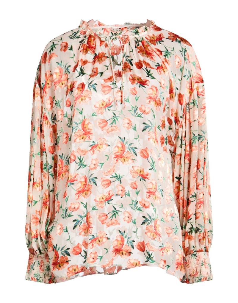 ALICE + OLIVIA Top Damen Hellgrau von ALICE + OLIVIA