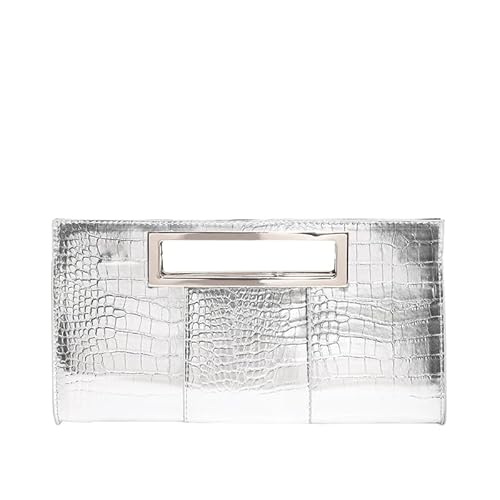 ALINUOYQ Frauen kleiner Krokodil -Druckkupplungsbeutel Goldgriff Reißverschlusskupplungsbeutel (Silber) von ALINUOYQ