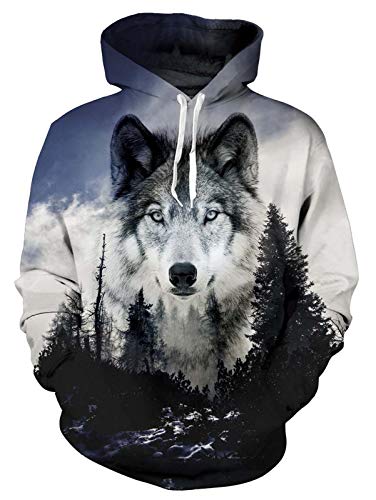 ALISISTER Herren Damen 3D Wolf Hoodie Kapuzenpullover Coole Grafik Hooded Pullover Sweatshirt Herbst Winter Beiläufig Langarm Kapuzenpulli mit Fleece-Futter M von ALISISTER