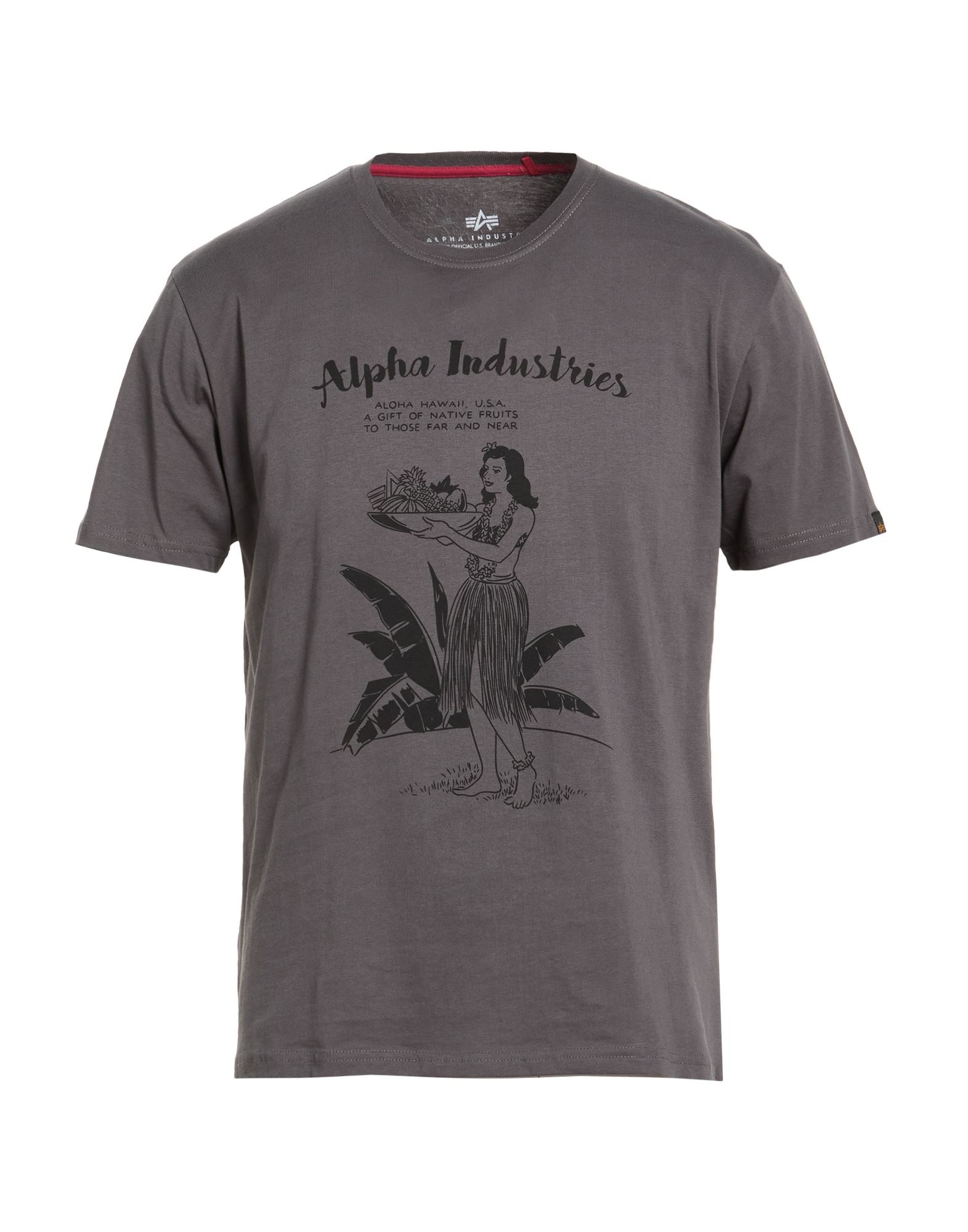 ALPHA INDUSTRIES T-shirts Herren Braungrau von ALPHA INDUSTRIES