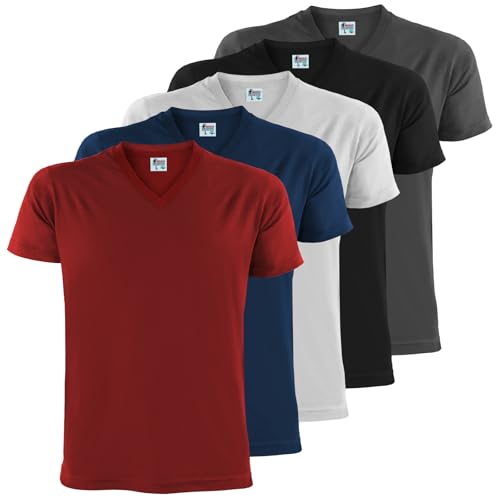 ALPIDEX Herren T-Shirts 5er Set mit V-Ausschnitt Shirts Basic Shirt Baumwolle Kurzarm Einfarbig S M L XL XXL 3XL 4XL 5XL, Größe:L, Farbe:Fire von ALPIDEX