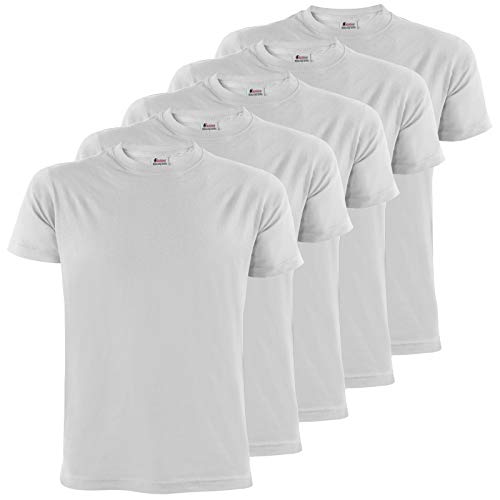 ALPIDEX Herren T-Shirts 5er Set Rundhals einfarbig S M L XL XXL 3XL 4XL 5XL, Größe:M, Farbe:Cloud von ALPIDEX