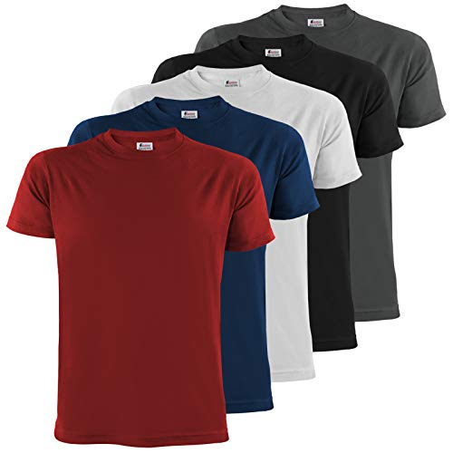 ALPIDEX Herren T-Shirts 5er Set Rundhals einfarbig S M L XL XXL 3XL 4XL 5XL, Größe:4XL, Farbe:Fire von ALPIDEX