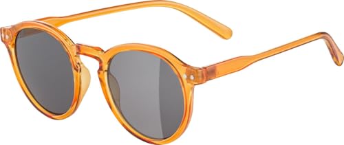 ALPINA Sneek - Stylische Sonnenbrille für Erwachsene, burrow-transparent gloss von ALPINA