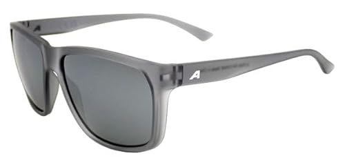 ALPINA Unisex RAYONNE Sunglasses, Grey-transparent matt, One Size von ALPINA