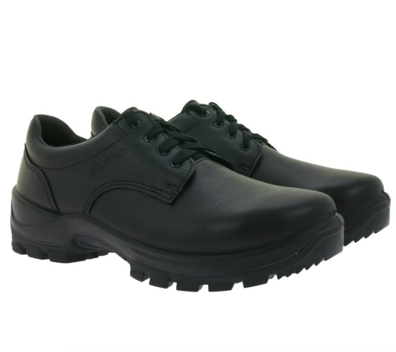 Alpina Kapla Damen & Herren Arbeits-Schuhe mit herausnehmbarer Sohle Sicherheits-Schuhe Echtleder-Schuhe 69012 Schwarz von ALPINA