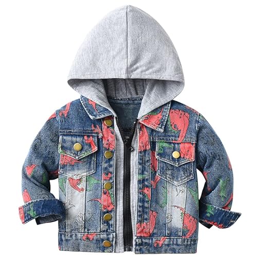 ALUCIC Kinder Mädchen Jungen Jeansjacke Übergangjacke Mantel Baby Langarm Süß Dinosaurier Denim Tops Kleidung Frühling Herbst Casual Outwear Grau 116/122 von ALUCIC