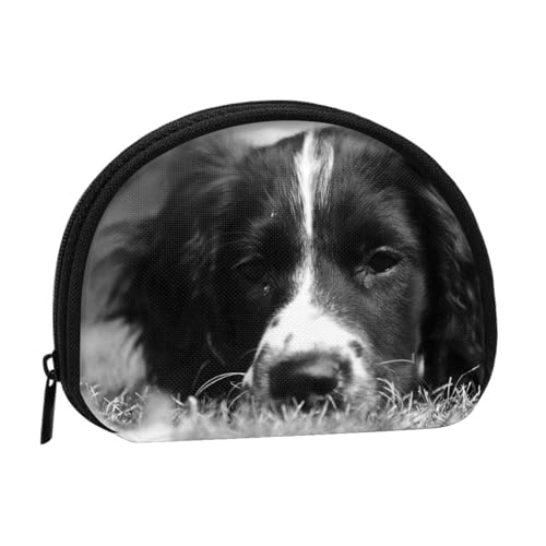 Englischer Springer Spaniel, Brieftasche Shell Make-up Tasche Frauen Aufbewahrungstasche Kleine Geldbörse Shell Wechseltasche von ALZVULG