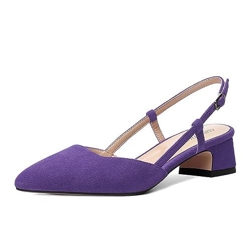 AMBELIGHT Damen Pumps mit spitzem Zehenbereich, niedliche Schnalle, verstellbarer Riemen, Wildleder, klobig, niedriger Absatz, 3,8 cm, violett, 43 EU von AMBELIGHT