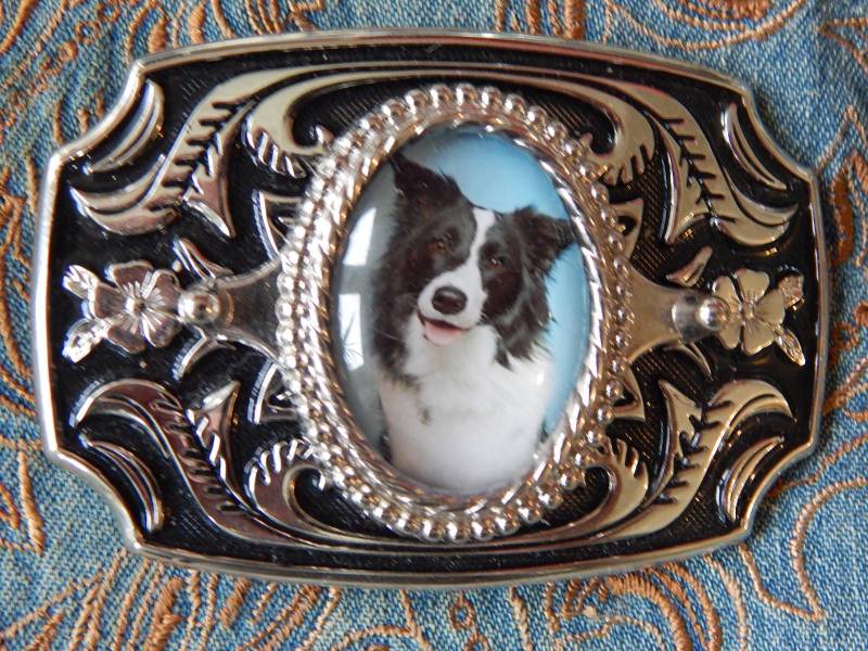 Neu Border Collie Hund Gürtelschnalle Silber/Schwarz Farbiges Metall Damen Herren von AMERICANMAGIC