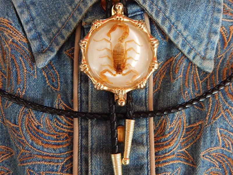 Neu Exclusive Skorpion Bolo Schnürsenkel Krawatte Goldfarben Metal Western Goth Damen Herren von AMERICANMAGIC