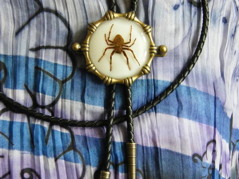 Neue Exklusive Arachnid Ghost Spider Bolo Schnürsenkel Krawatte Antiqued Gold Finish Goth Western von AMERICANMAGIC