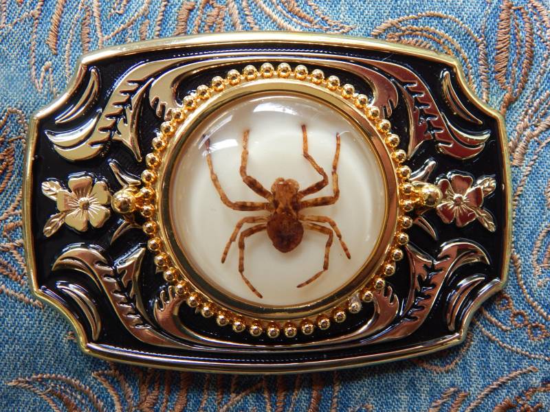Neue Exklusive Geisterspinne Gold/Schwarz Farbige Metall Gürtelschnalle Arachnid Hochzeit Western Goth von AMERICANMAGIC