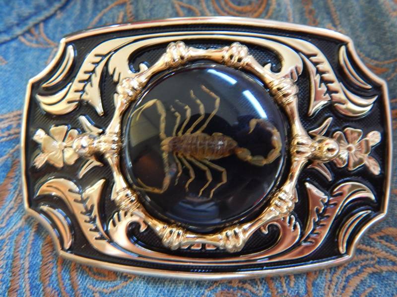 Neue Exklusive Skorpion Gold/Schwarz Gürtelschnalle Goth Western Herren Damen von AMERICANMAGIC