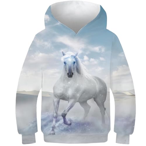 AMNOOL Kinder Hoodie Männer Frauen 3D Druck Wüste Blau Pferd Sweatshirt Mode Lose Langarm Frühling Herbst Pullover 13-15Y von AMNOOL